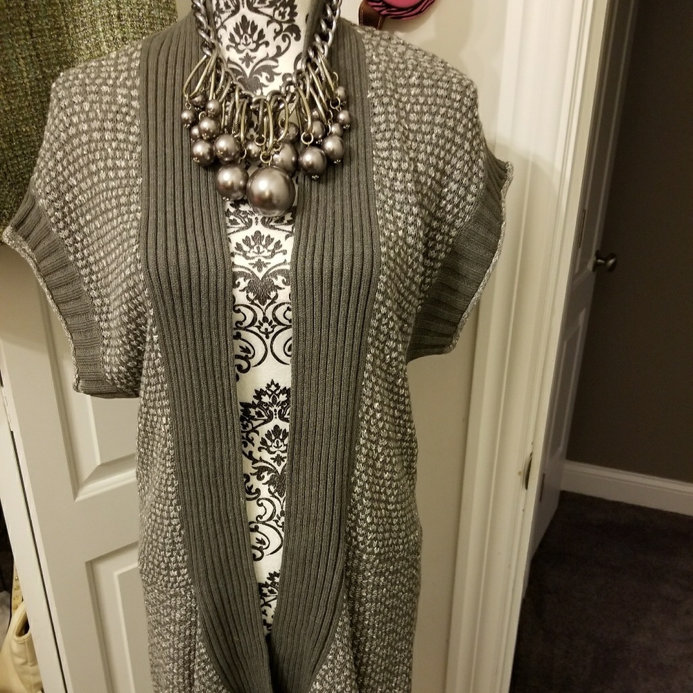 Gray Duster